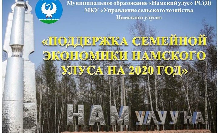 ПОДДЕРЖКА СЕМЕЙНОЙ ЭКОНОМИКИ НАМСКОГО УЛУСА НА 2020 ГОД